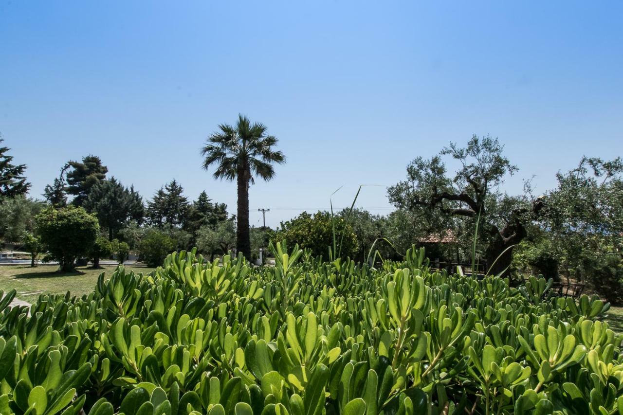 Villa Katerina'S Garden Mola Kaliva Exterior foto
